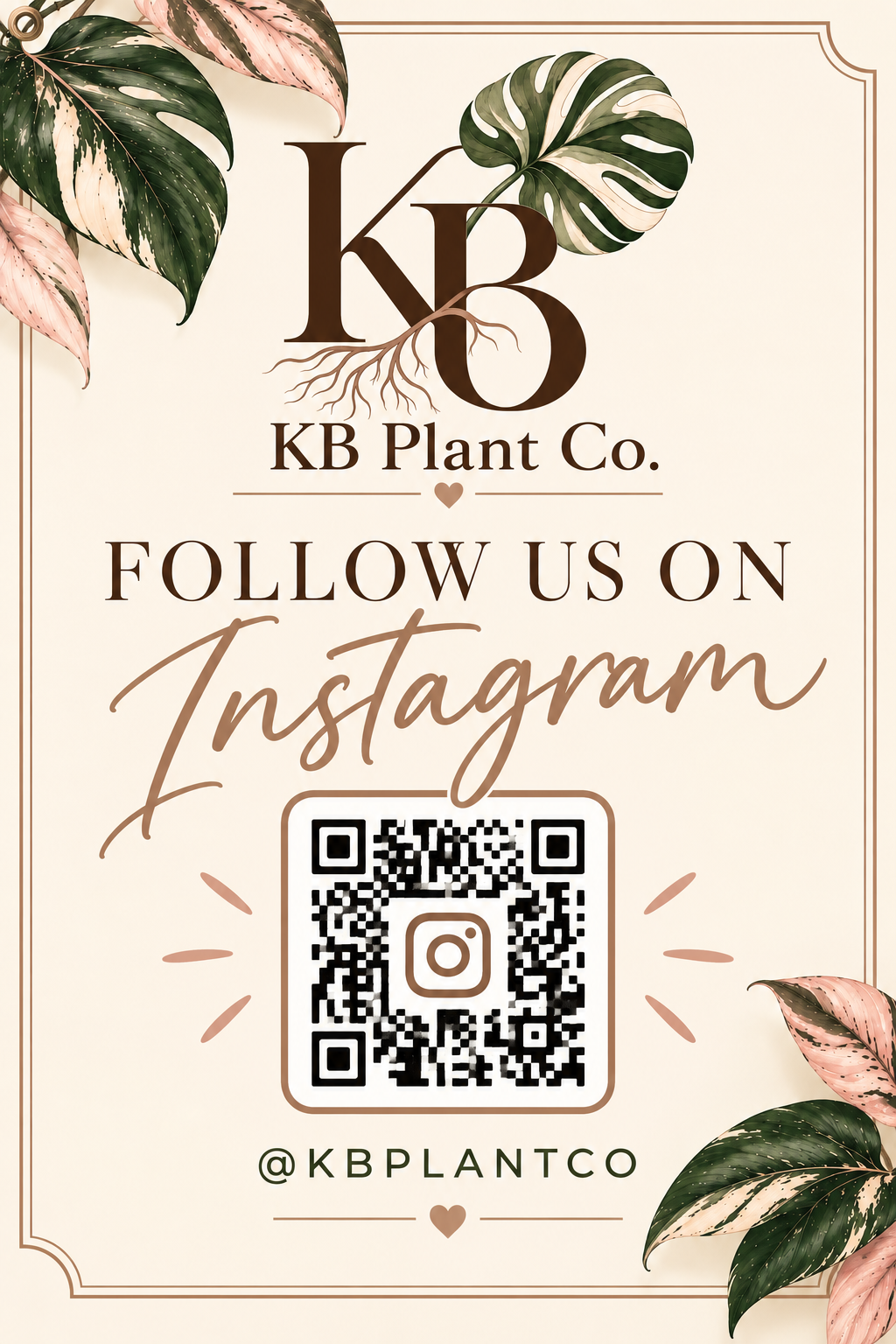 Follow KB Plant Co on Instagram — scan the QR code