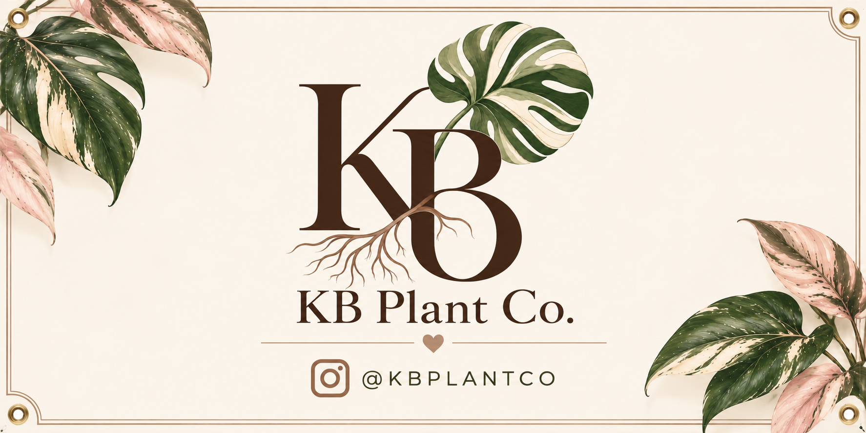 KB Plant Co banner with the shop logo and variegated foliage